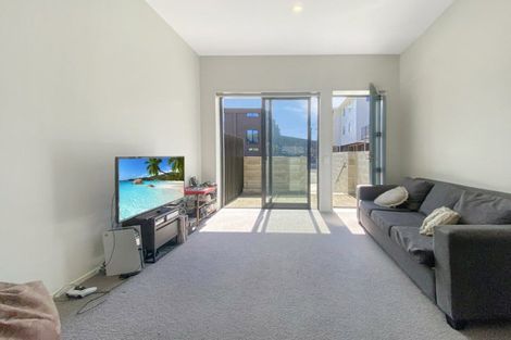 Photo of property in Aniva Terrace, 14 Arney Street, Newtown, Wellington, 6021