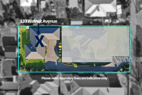 Photo of property in 133 Walnut Avenue, Allenton, Ashburton, 7700