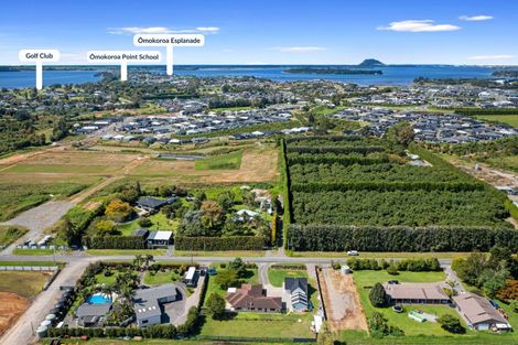 Photo of property in 75 Prole Road, Omokoroa, Tauranga, 3172