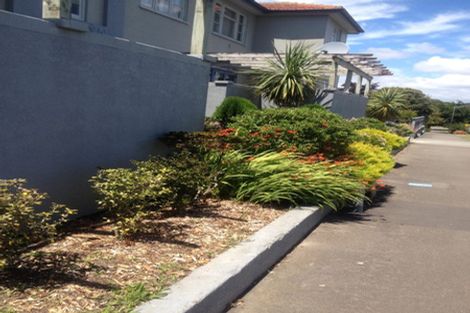 Photo of property in 16 Freyberg Street, Roslyn, Palmerston North, 4414