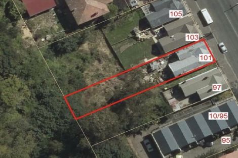 Photo of property in 101 Maitland Street, Dunedin Central, Dunedin, 9016