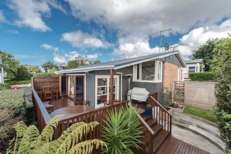 Photo of property in 32 Carey Street, Maeroa, Hamilton, 3200