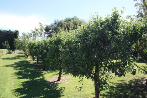 Photo of property in 100 Whiterocks Road, Deborah, Oamaru, 9492