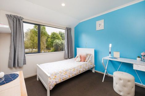 Photo of property in 179 Watershed Road, Bunnythorpe, Palmerston North, 4470