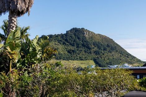 Photo of property in 41b May Street, Mount Maunganui, 3116