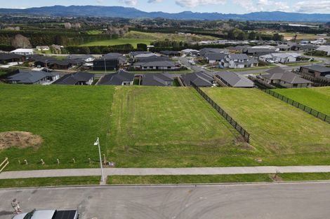 Photo of property in 10 Kuaka Rise, Omokoroa, 3114