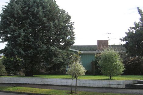 Photo of property in 19 Patrick Place, Fitzroy, Hamilton, 3206