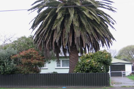 Photo of property in 41 Mabel Street, Levin, 5510