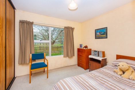 Photo of property in 284 Raynes Road, Rukuhia, Hamilton, 3282