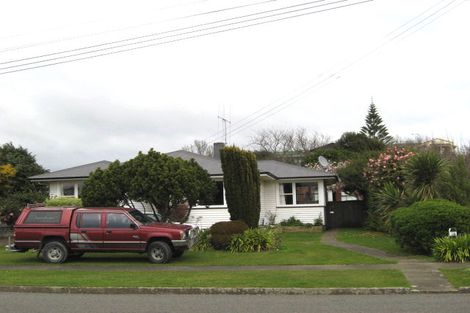 Photo of property in 12 Montgomery Street, Levin, 5510