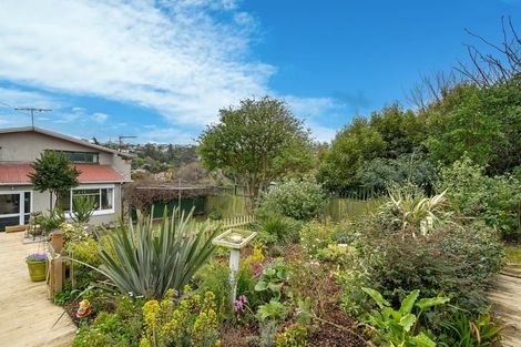 Photo of property in 62 Walter Street, The Glen, Dunedin, 9011