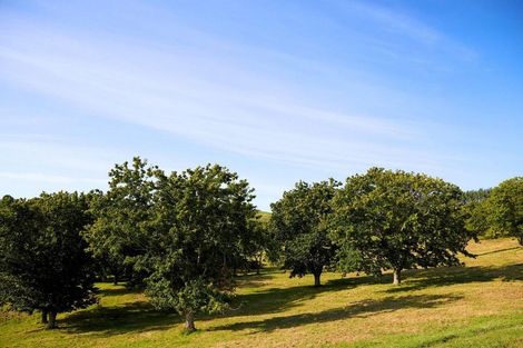 Photo of property in 196c Pukemapu Road, Oropi, 3173