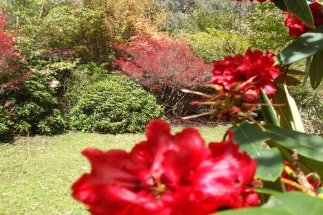 Photo of property in 116 Tauwharenikau Road, Tututawa, Stratford, 4392