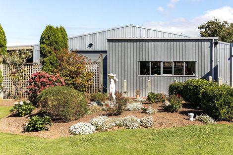 Photo of property in 31 Ongare Point Road, Tahawai, Katikati, 3170
