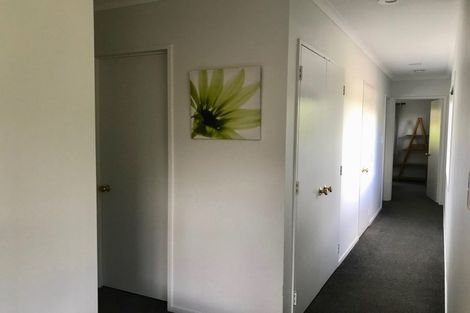 Photo of property in 12 Samuel Way, Judea, Tauranga, 3110