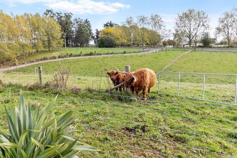 Photo of property in 599 Claremont Road, Claremont, Timaru, 7972