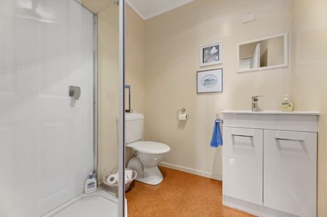 Photo of property in 22 Mount Street, Wakari, Dunedin, 9010