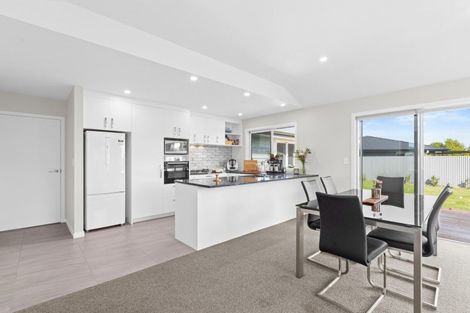 Photo of property in 93 Belgrove Drive, Waipukurau, 4200