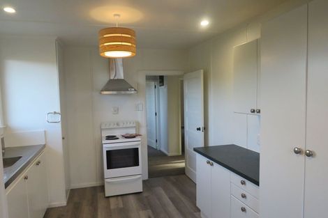 Photo of property in 50 Panmure Avenue, Calton Hill, Dunedin, 9012