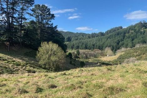 Photo of property in 521 Ahuroa Road, Puhoi, Warkworth, 0994