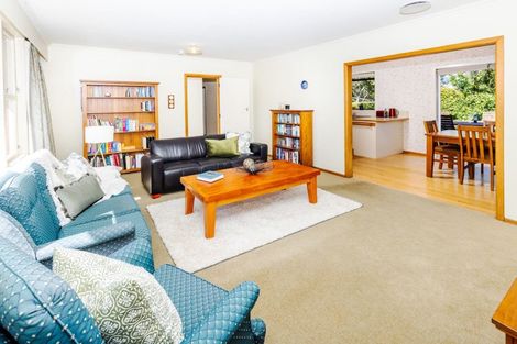 Photo of property in 45 Regent Street, Silverdale, Hamilton, 3216