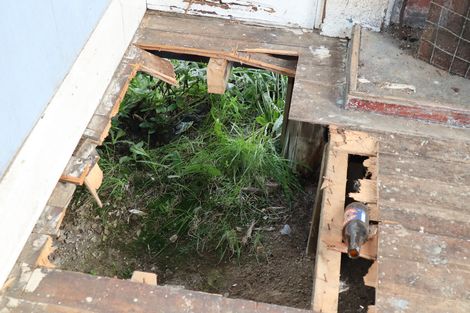 Photo of property in 5 Clark Street, Owaka, 9535