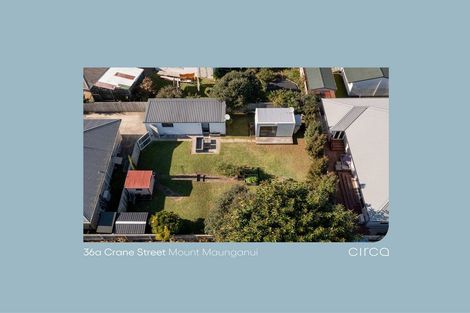 Photo of property in 36a Crane Street, Mount Maunganui, 3116