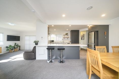 Photo of property in 481 Ruahine Street, Terrace End, Palmerston North, 4410