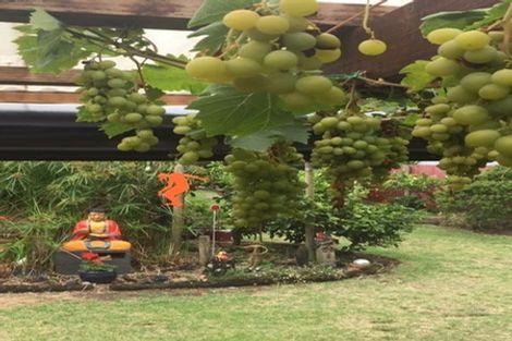 Photo of property in 637 Waitarere Beach Road, Waitarere Beach, Levin, 5510