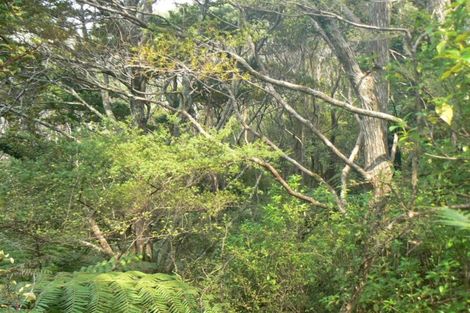 Photo of property in 191 Opara Road, Oue, Kaikohe, 0473