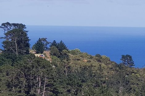 Photo of property in 164-166 Lone Kauri Road, Karekare, New Lynn, 0772