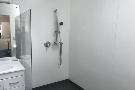 Photo of property in 5c Wilson Street, Newtown, Wellington, 6021