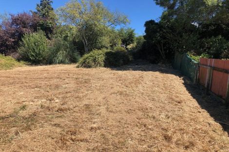 Photo of property in 90 Porangahau Road, Waipukurau, 4200