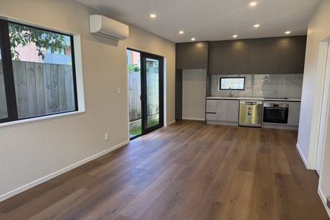 Photo of property in 14e Serjeant Street, Henderson, Auckland, 0612