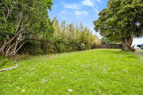 Photo of property in 24 Waimarie Road, Whenuapai, Auckland, 0618