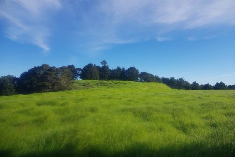 Photo of property in 725 Golden Stairs Road, Mareretu, Maungaturoto, 0589