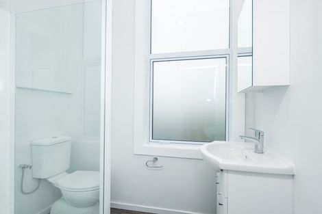 Photo of property in 11 Scotland Street, Dunedin Central, Dunedin, 9016