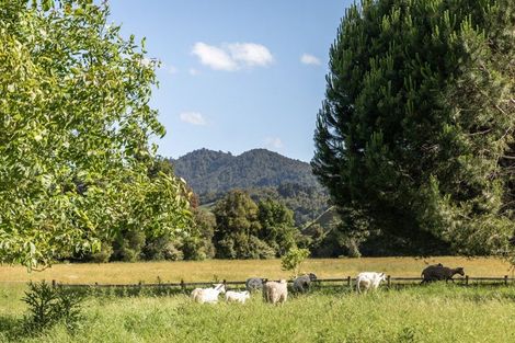 Photo of property in 209 Franklin Road, Waihi, 3682