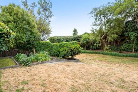 Photo of property in 11b Puriri Street, Hilltop, Taupo, 3330