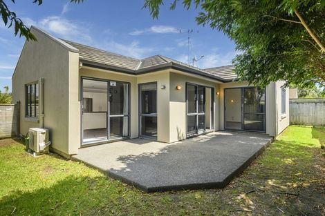 Photo of property in 113 Solomon Street, Brookfield, Tauranga, 3110