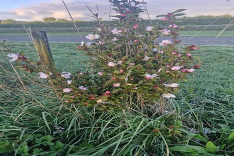 Photo of property in 48 Ohau Terraces, Ohau, 5570