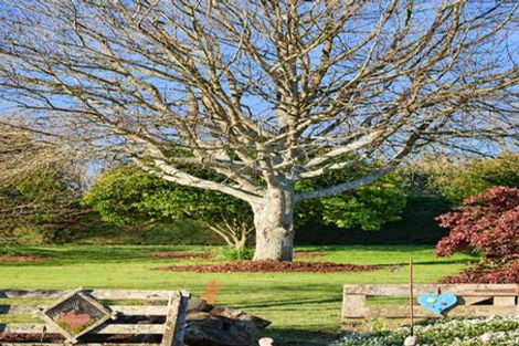Photo of property in 6 Glasson Road, Rotoorangi, Te Awamutu, 3879