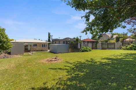 Photo of property in 24 David Street, Morrinsville, 3300