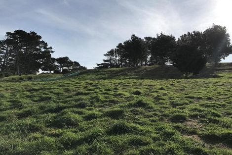 Photo of property in 24 Highgrove, Saint Clair, Dunedin, 9012