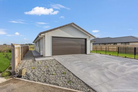 Photo of property in 53 Tawhero Street, Gonville, Whanganui, 4501