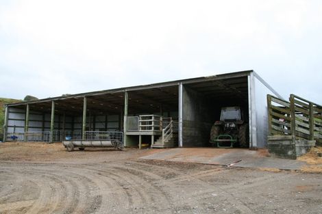 Photo of property in 1234 Richmond Road, Everett Park, Inglewood, 4389