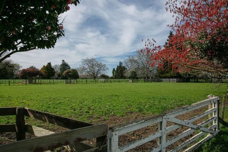 Photo of property in 145 Pickering Road, Tamahere, Cambridge, 3493