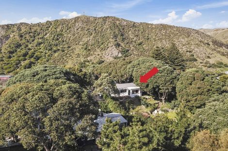 Photo of property in 45 Wellington Road, Paekakariki, 5034