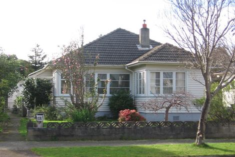 Photo of property in 43 Ihle Street, Terrace End, Palmerston North, 4410