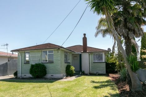 Photo of property in 80 Masefield Avenue, Maraenui, Napier, 4110